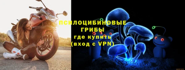 дурь Дмитров