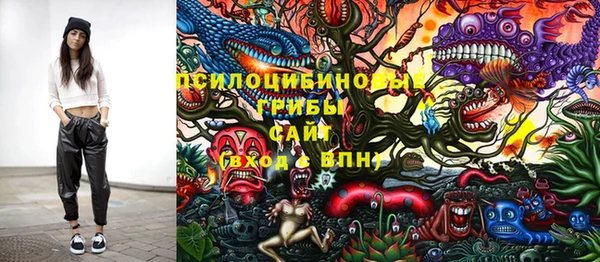 ECSTASY Дмитриев