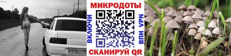 Псилоцибиновые грибы Psilocybe Сургут