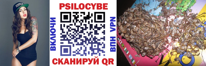 MEGA   где купить   Сургут  Галлюциногенные грибы ЛСД 